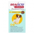 Bravecto 1-Month Chew for Dogs � Limited-Time Deals on Flea  Tick Protection!